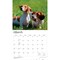 BrownTrout; For the Love of Dachshunds | 2027 14 x 24 Inch (Hanging) Monthly Deluxe Wall Calendar | Foil Stamped Cover | Plastic-Free; Category:Wall Calendars; Image:4